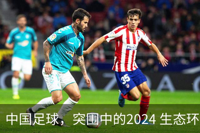 中国足球，突围中的2024 生态环境将实现好转